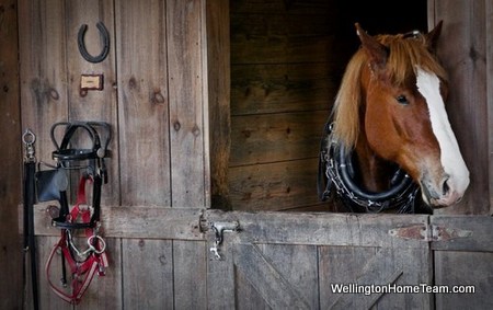 Wellington Florida Equestrian Capital of the World