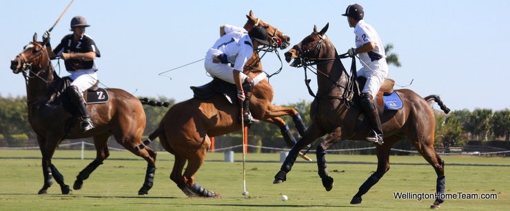 Wellington Florida Polo and Equestrian